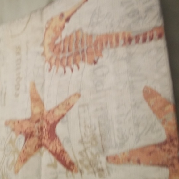 12 Pack Coral Isle Metal Shower Hooks and 70"×72" Coral Isle Shower Curtain - Picture 4 of 8